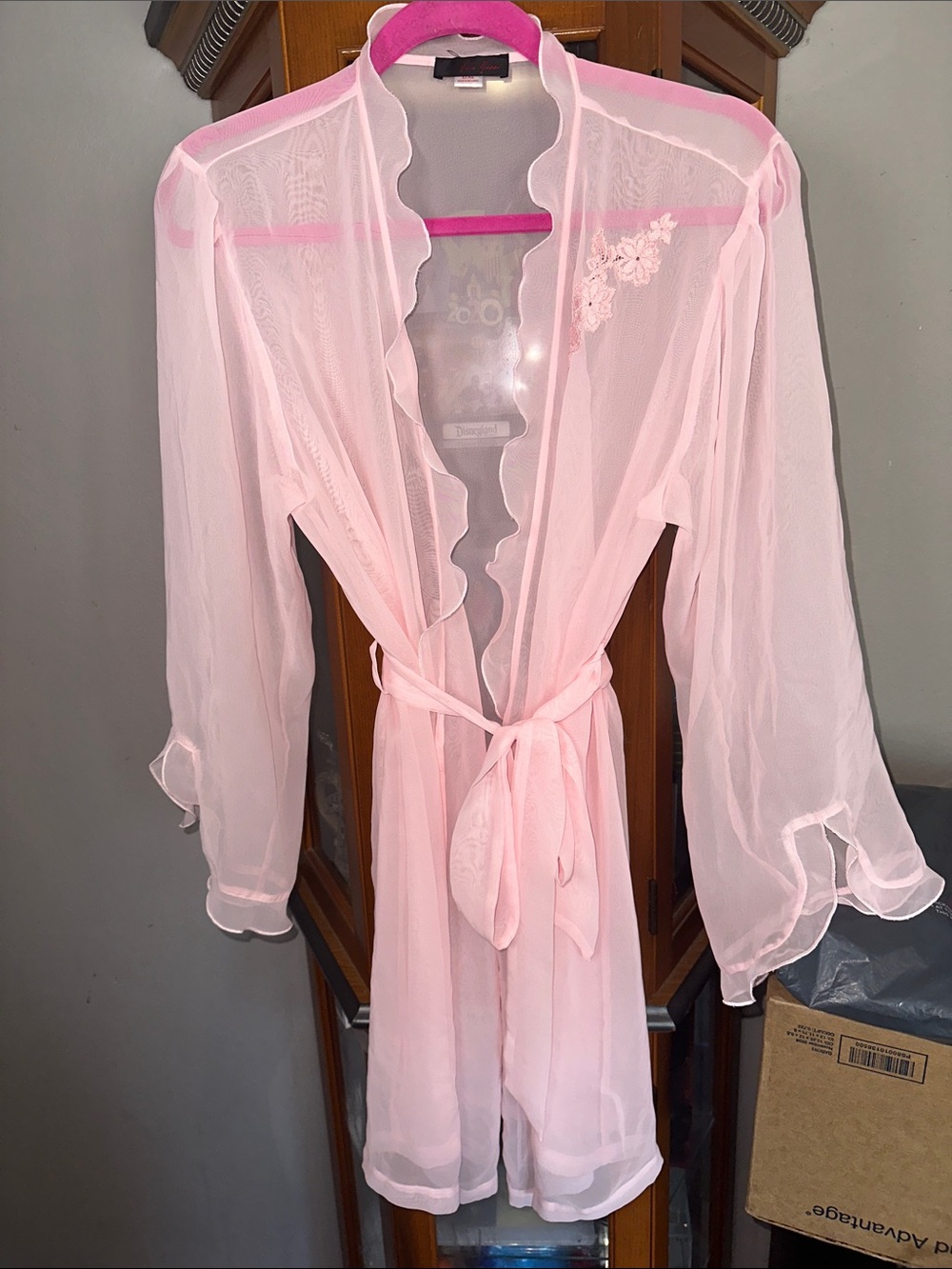 Dreamgirl Sheer Light Pink Lace-Trim Robe with Self Tie